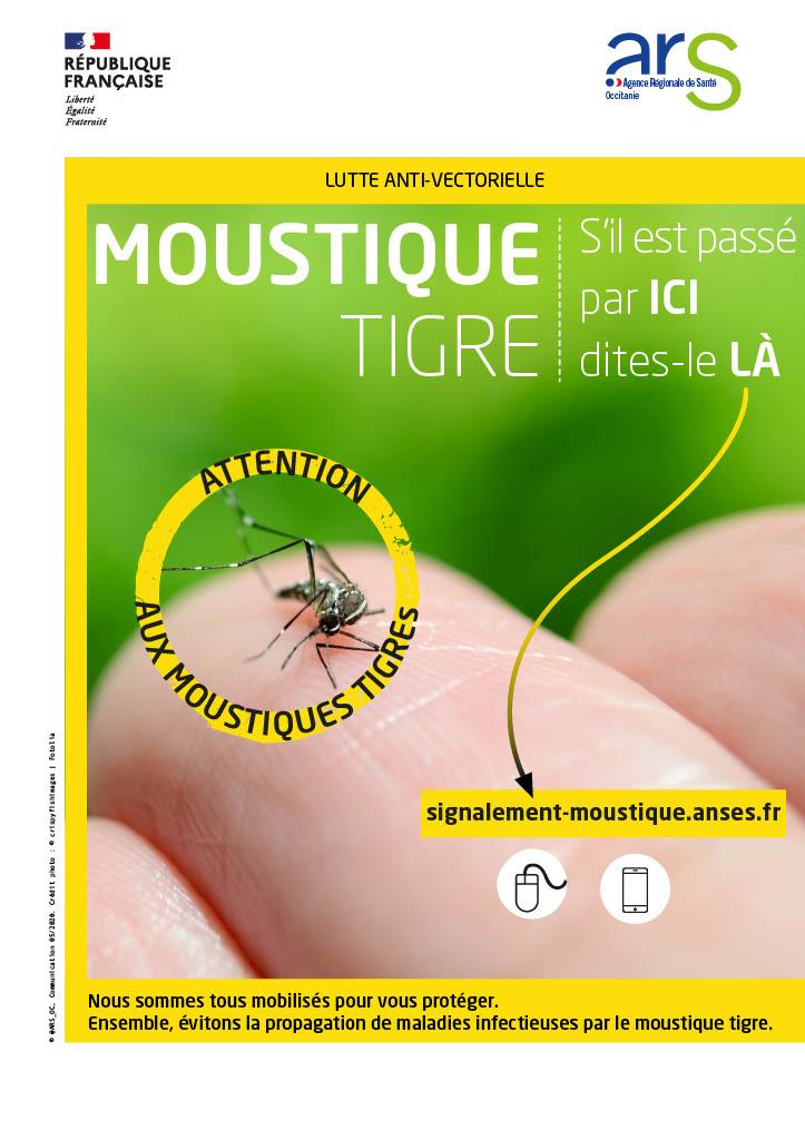 Moustiques tigres