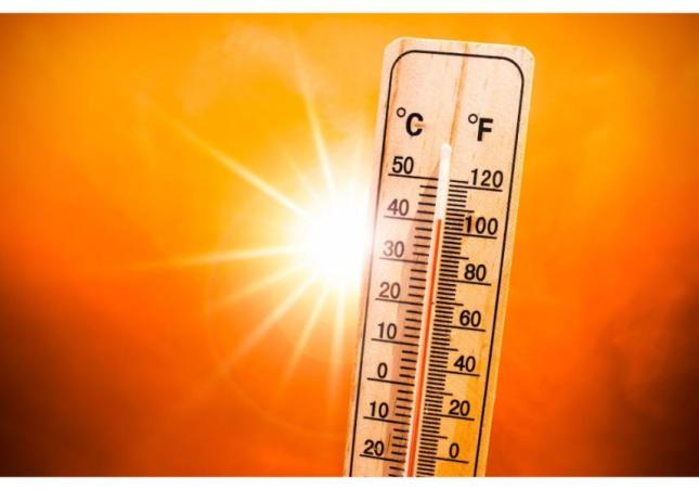 Canicule