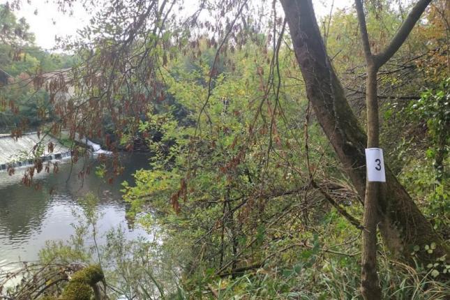 JOURNEE ECO-CITOYENNE DU 19 OCTOBRE