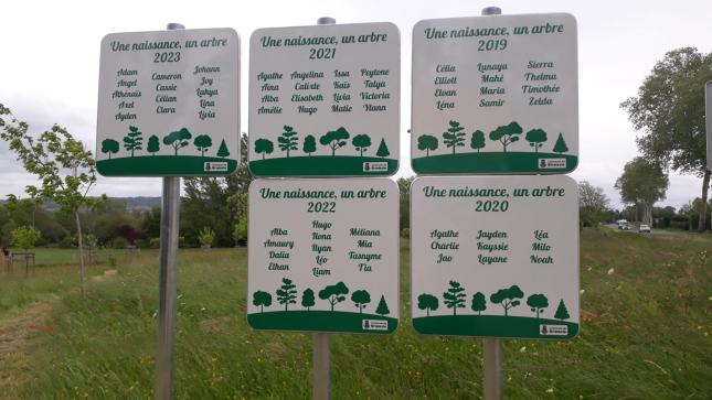 Une naissance, un arbre 2023