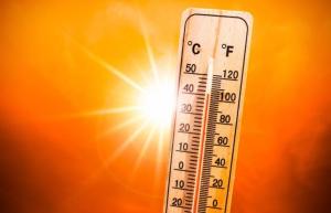 Canicule
