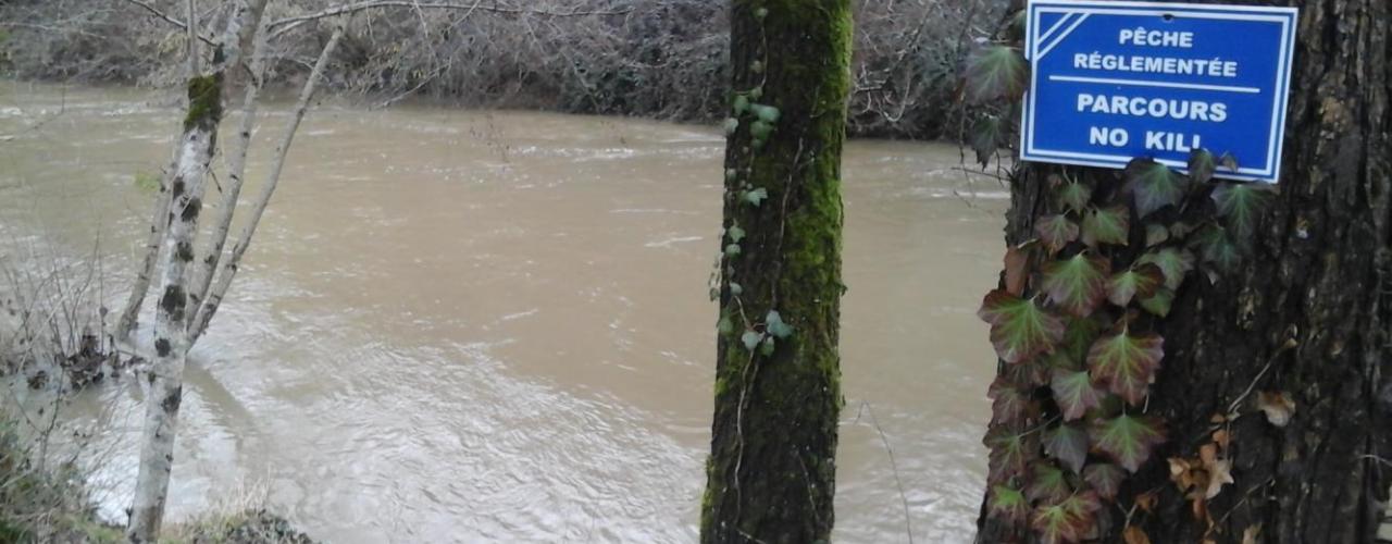 Les berges du dadou